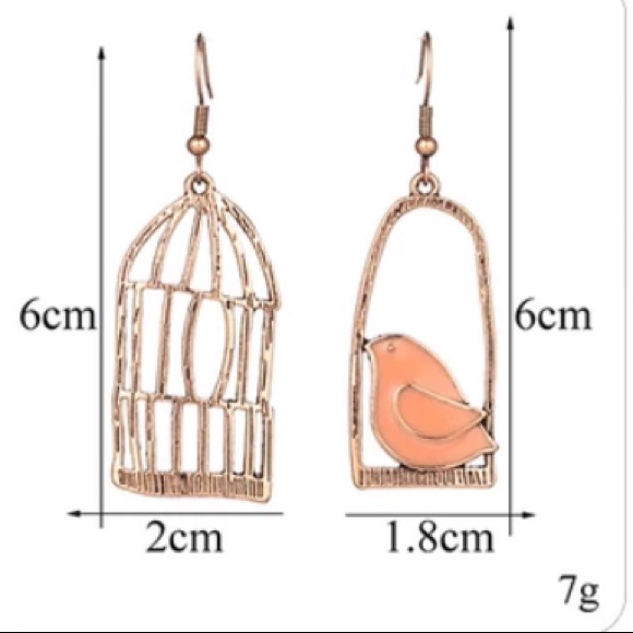 BOGO Bird & Bird Cage Asymmetrical Earrings Copper - Picture 4 of 5